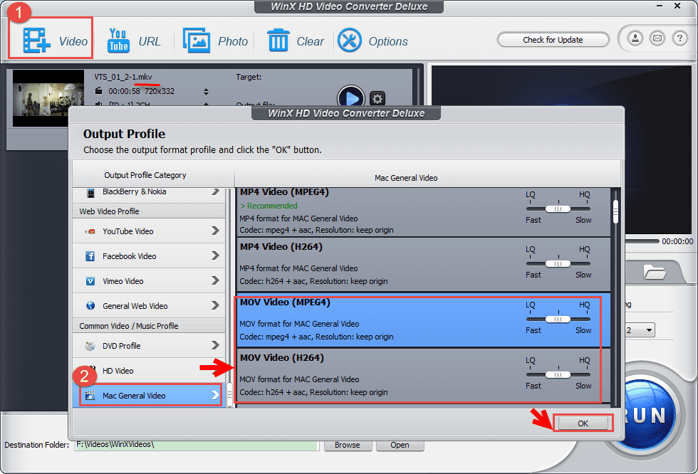 Xvid codec torrent