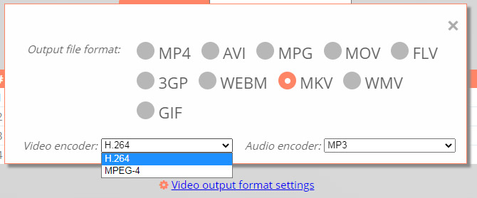 Choose output video format