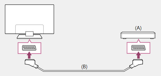 check DVD player cable