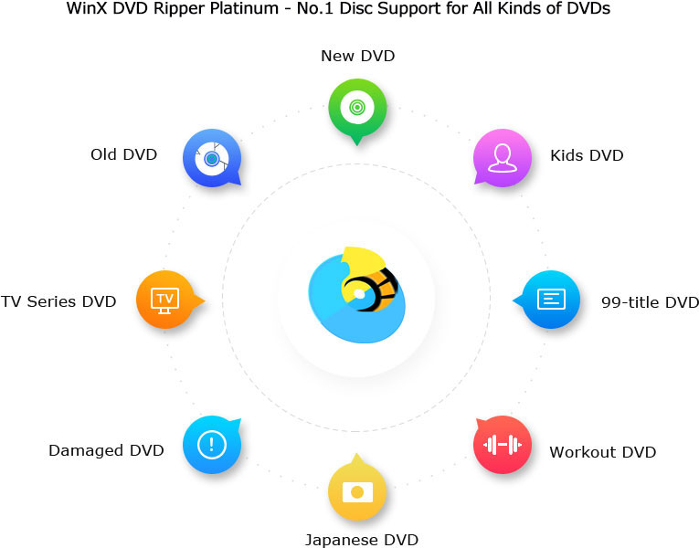Any input DVD disc is supported