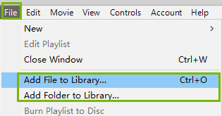 import DVD video to iTunes on Windows