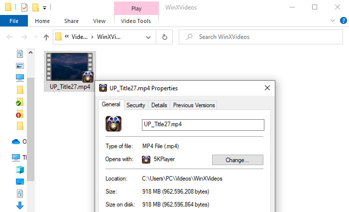DVD rip file