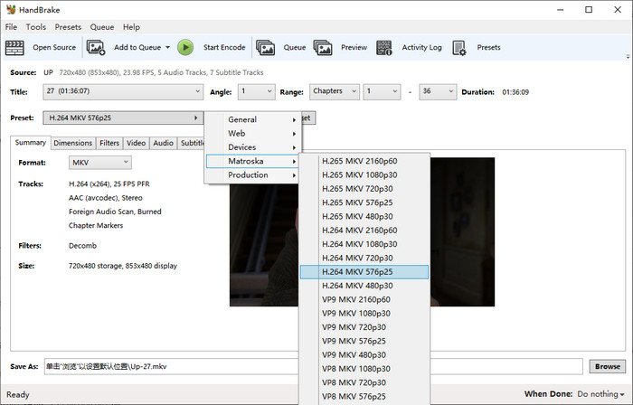 DVD mit HandBrake in MKV rippen
