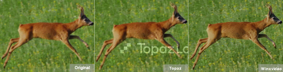 Winxvideo AI vs Topaz Video AI 2k to 4k upscaling