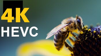 4K HEVC Video
