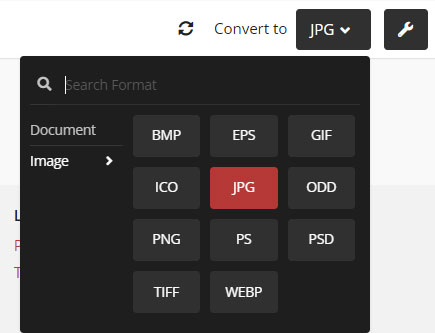 choose JPG as output format