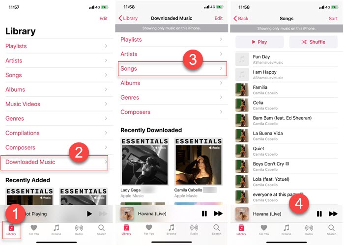 Delete Music on iPhone via Music App