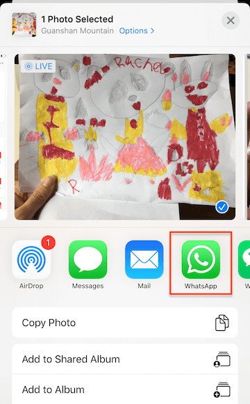 Get Photos off iPhone via Social Media
