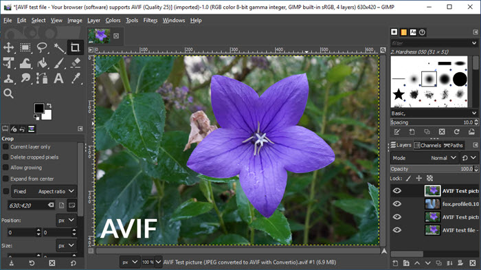 GIMP AVIF Image Editor