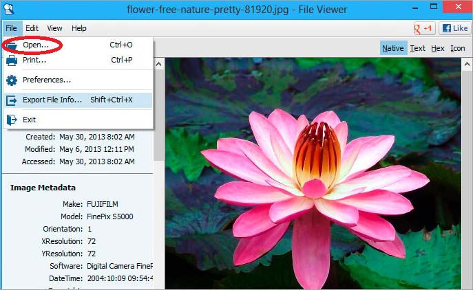 Open and view HEIC image on Windows 10 wtih File Viewer