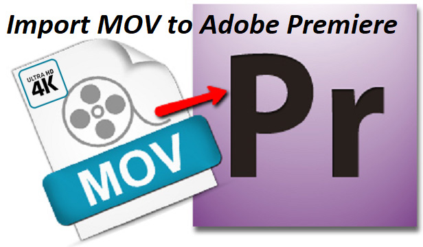 T import. QUICKTIME кодеки для премьер про