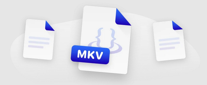 What is MKV