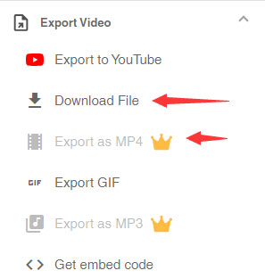 export video