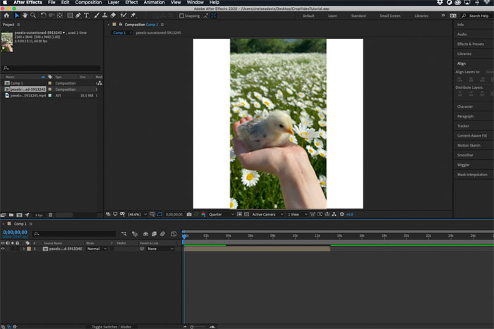 Crop Videos in After Effects with the Region of Interest Tool