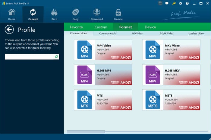 Leawo convert DVD to mp4