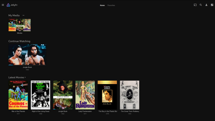 Best media server -  Jellyfin