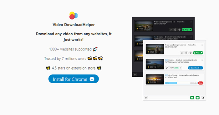 Video DownloadHelper Risks