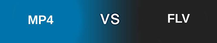 FLV vs MP4