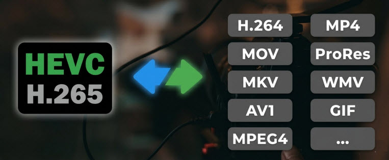 H.265 video converter