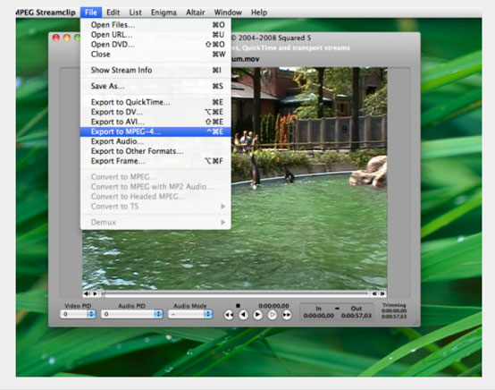Free convert AVI to MOV with MPEG Streamclip