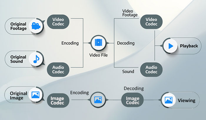 What is codec