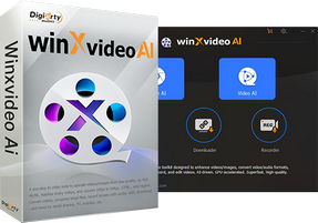 Winxvideo AI Box