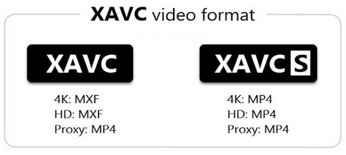 What is XAVC / XAVC S