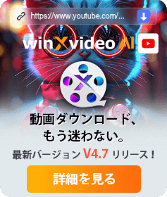 Winxvideo AI