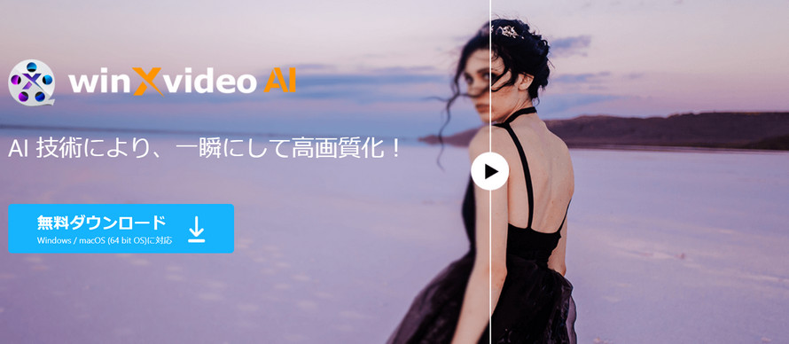 Winxvideo AI