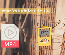 ���򉻂�MP4�������o���@