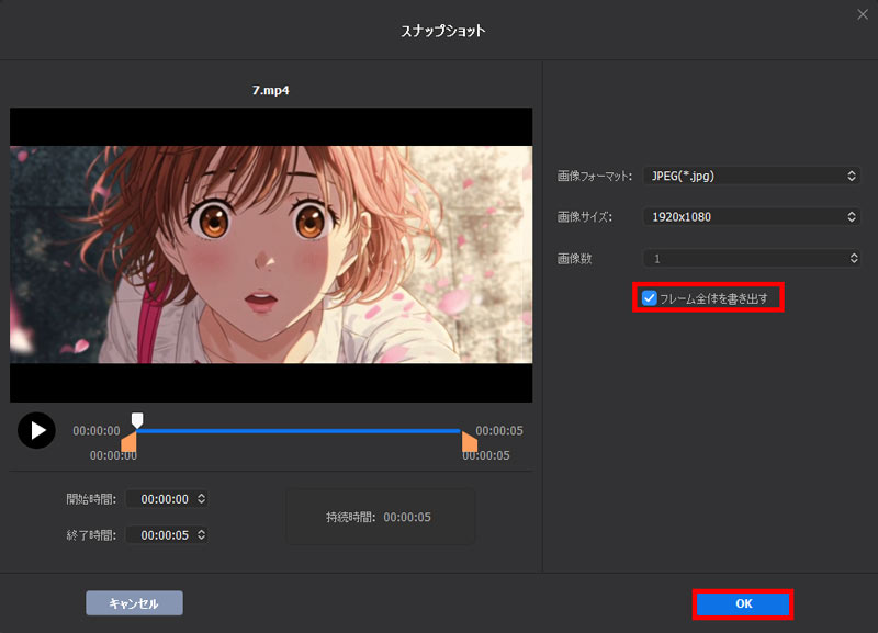 Winxvideo AIで動画から全フレームを抽出する