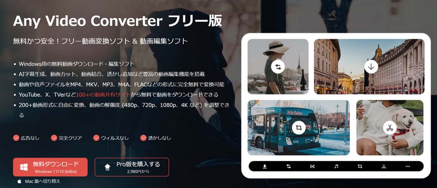 ���S�Ȗ�������ϊ��\�t�g�FAny Video Converter