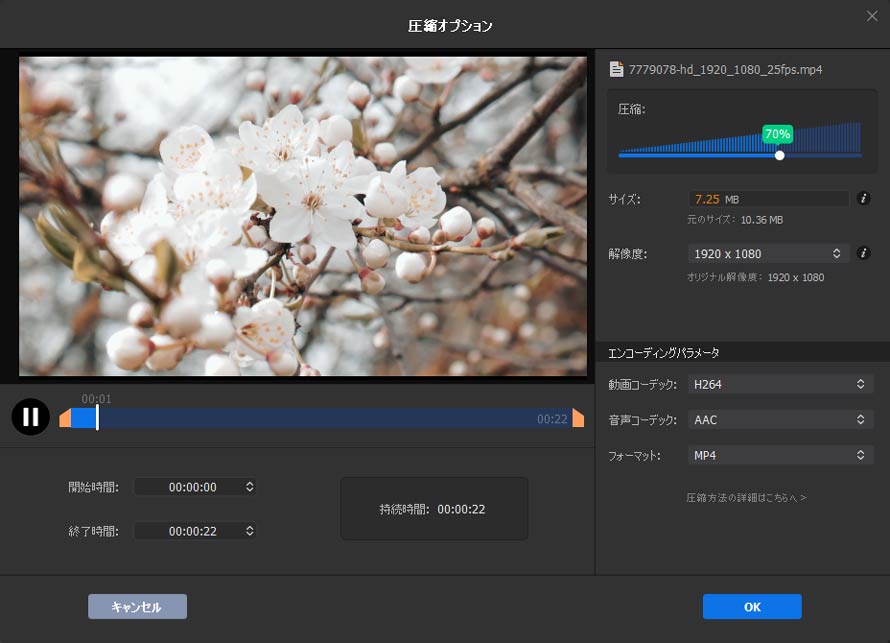 Winxvideo AI�ň��k�����������ǉ�