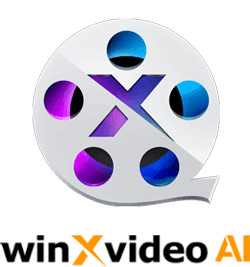 Winxvideo AI