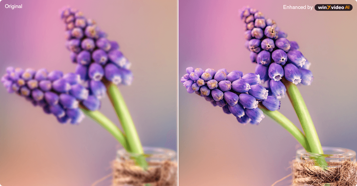 unblur and sharpen images