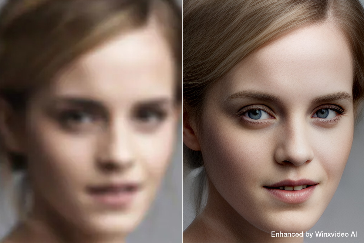 Winxvideo AI�F���U�C�N/�ڂ�������