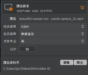 Winxvideo AI 導出設定